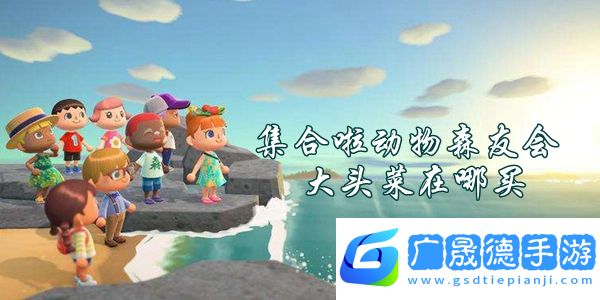 集合啦動(dòng)物森友會(huì)大頭菜在哪買(mǎi)-集合啦動(dòng)物森友會(huì)大頭菜買(mǎi)賣(mài)攻略